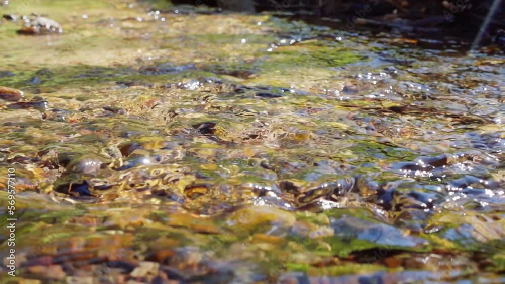 A spring stream murmurs in slow motion A spring stream murmurs in slow motion