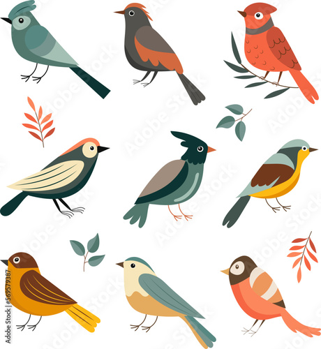 birdies set on white background  vector