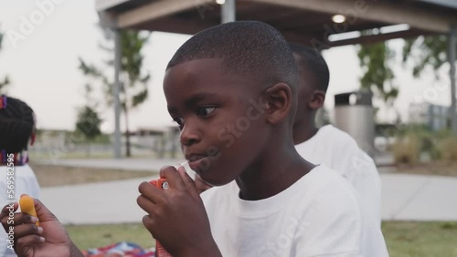 Black Stock Footage of happy, young, and smiling Black family playing in a nature park on a sunny day with Black mother, Black father, and Black children