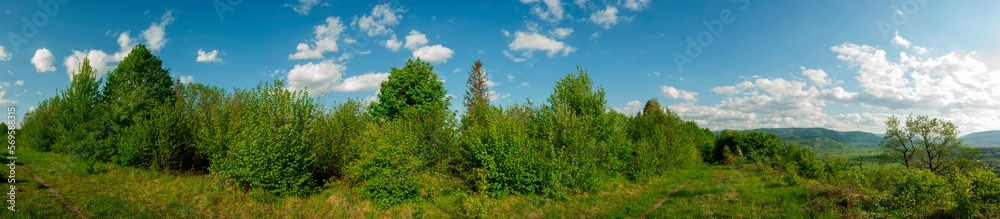 Panorama of the spring forest near the mountain town. Picturesque landscape of a sunny day.