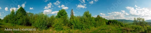 Panorama of the spring forest near the mountain town. Picturesque landscape of a sunny day. © mikhailgrytsiv