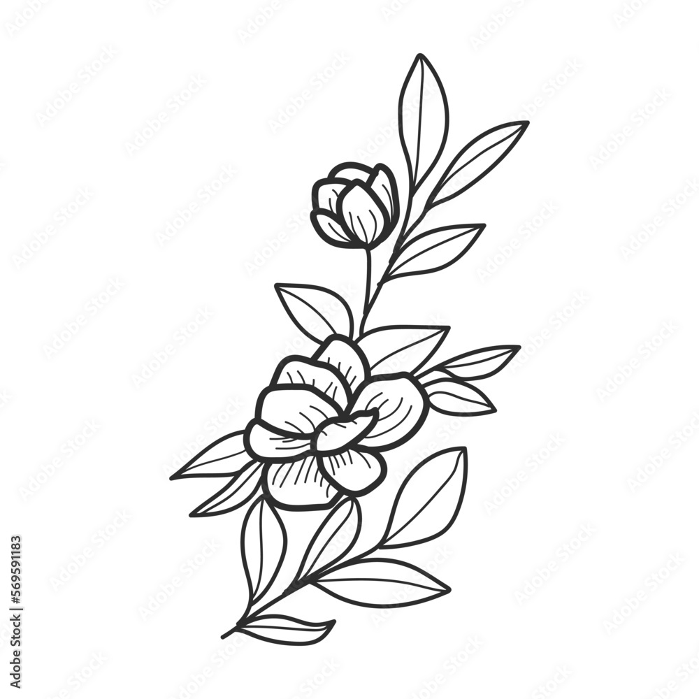 collection forest fern eucalyptus art foliage natural leaves herbs in line style. Decorative beauty elegant illustration for design hand drawn flower

