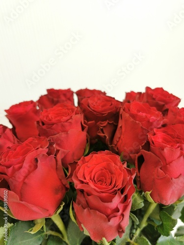 Bouquet of red roses close up on a white background.