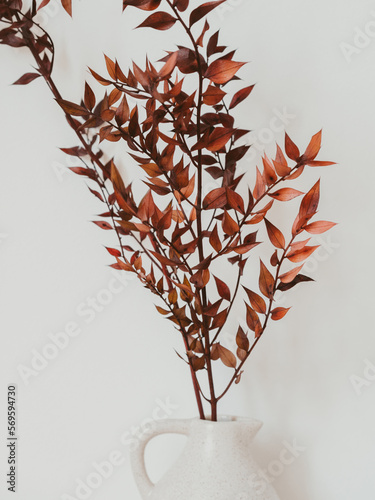 Decorative branch dry plant dark burgundy in white vase on white background