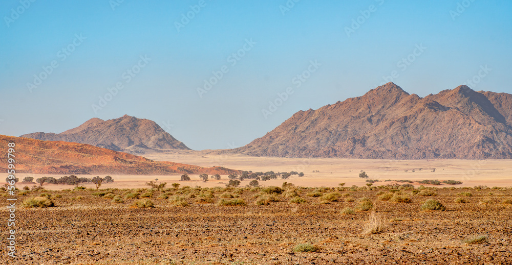 Namib desert near Sossusvlei