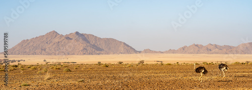 Namib Desert near Sossusvlei, Namibia