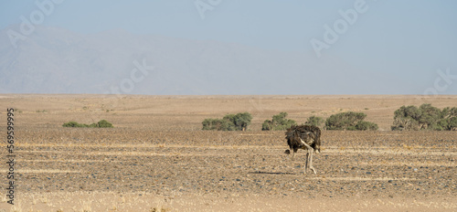 Namib desert near Sossusvlei © mehdi33300