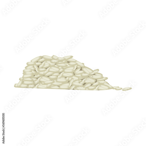 rice grains heap