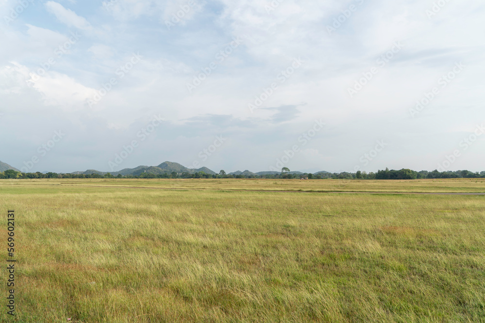Grass field in summer with mountain range and sky as background.