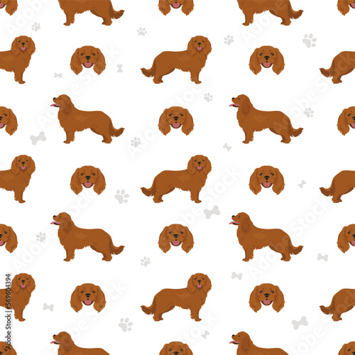 Cavalier King Charles Spaniel seamless pattern