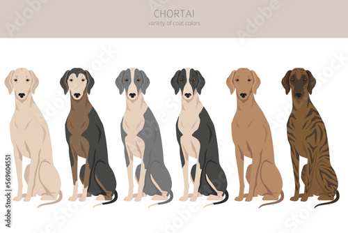 Chortai clipart. Different poses, coat colors set