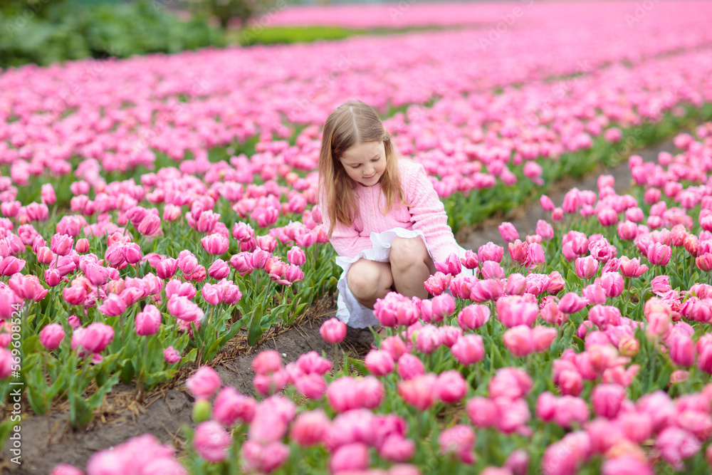 Child on bike in tulip field. Bicycle in Holland.
Child on bike in tulip field. Bicycle in Holland.