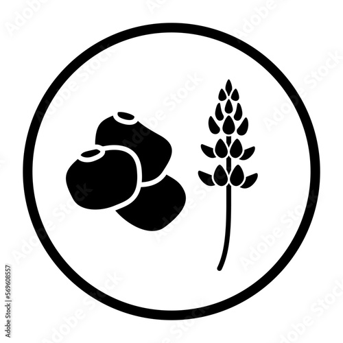 One color vector food icon: lupin