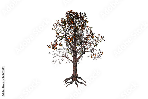 shape apple tree white background 3d rendering