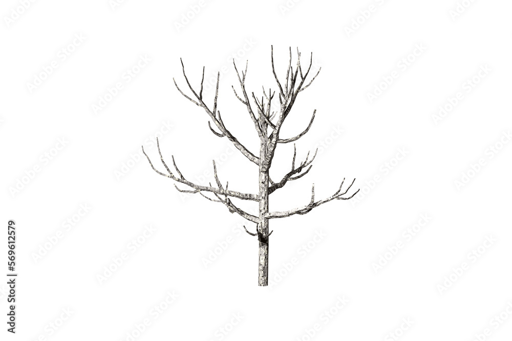 shape dead tree white background 3d rendering