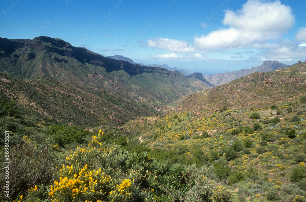 Parc national, Grande Canarie, Iles Canaries, Espagne