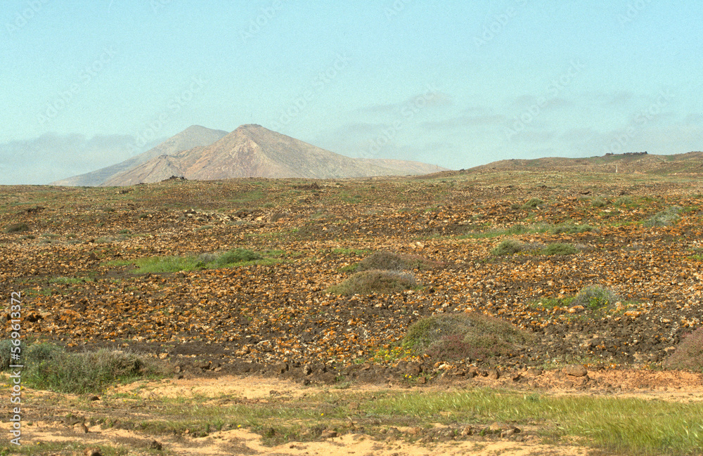 Parc natural de Corralejo, Ile de Fuerteventura, Iles Canaries, Espagne Parc natural de Corralejo, Ile de Fuerteventura, Iles Canaries, Espagne