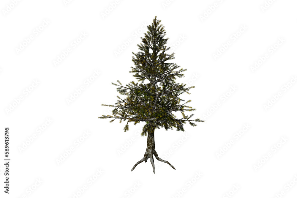 shape hemlock tree white background 3d rendering Stock Illustration