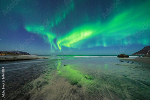 Starry night sky with Northern Lights (Aurora Borealis) reflected in the cold sea, Skagsanden beach, Ramberg, Nordland, Lofoten Islands, Norway, Scandinavia, Europe photo