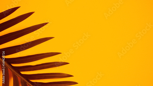 Wallpaper Mural Palm leaf on a pink background. Torontodigital.ca