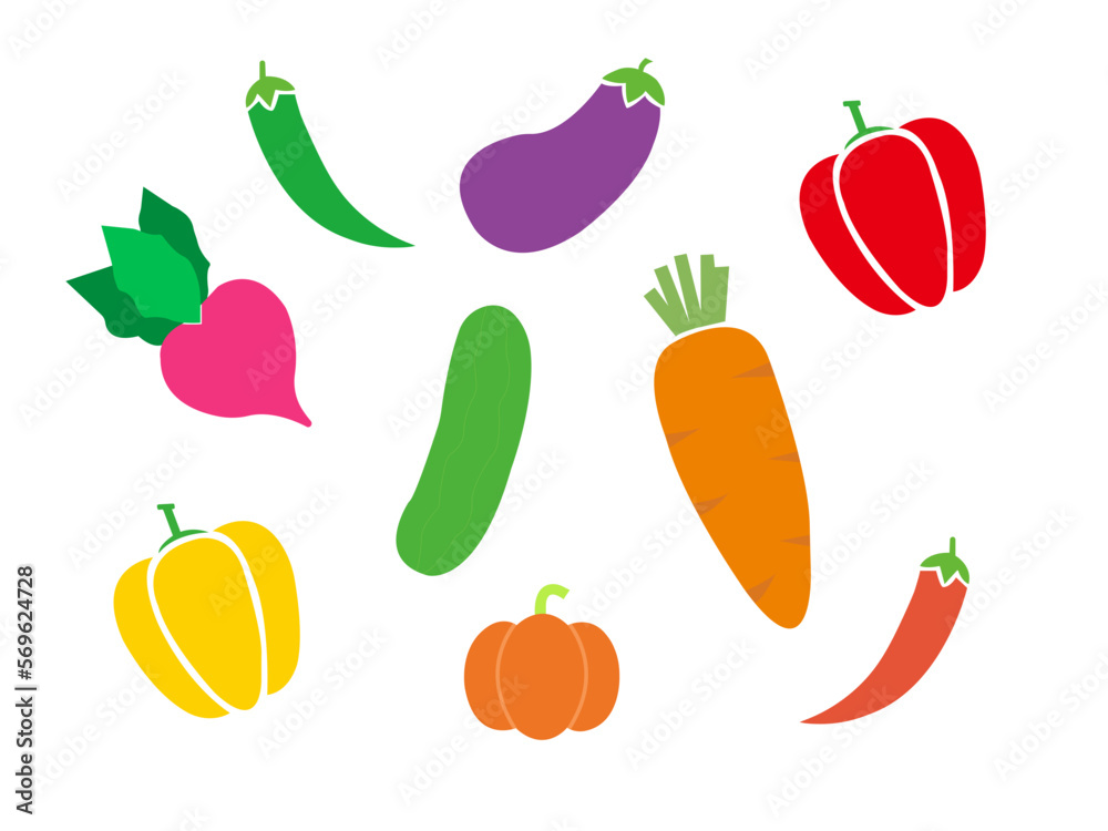 Winter vegetables vector design set and illustration. Winter vegetables vector design set and illustration.