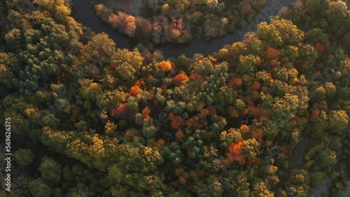 Aerial view of beautiful autumn forest and winding river during sunrise. Fall landscape. Beauty in nature