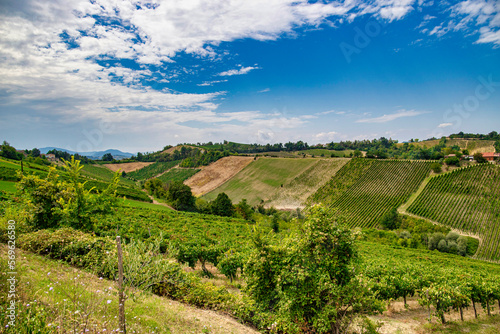 Hills and vineyards in the Vigoleno area, Piacenza district, Emilia Romagna, Italy, Europe photo