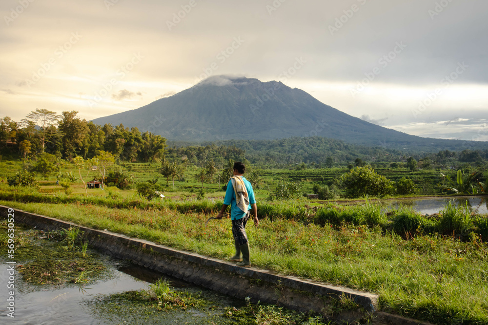 Balinese rice field early morning with sun rise over fogs with river, palm trees and old women walking in front of Mount Agung