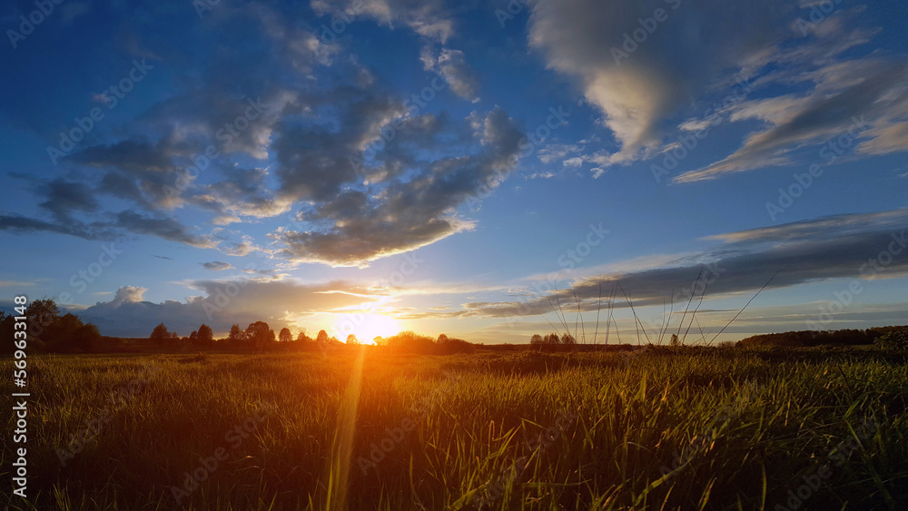 Obraz premium Panorama silhouette tree with sunset.Tree silhouetted against a setting sun.Dark tree on open field dramatic sunrise.