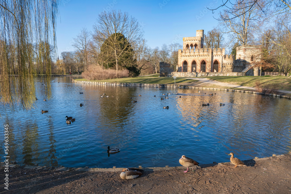Ducks at a pond in the castle park of Wiesbaden/Germany with the ruins of the Moosburg in the background