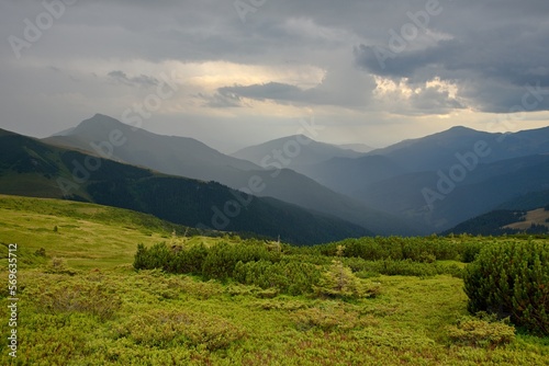 landscape in summer