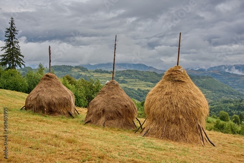 a group of bales in the field