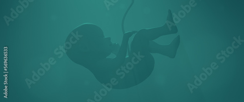 Illustration of a human fetus in the process of maturation photo