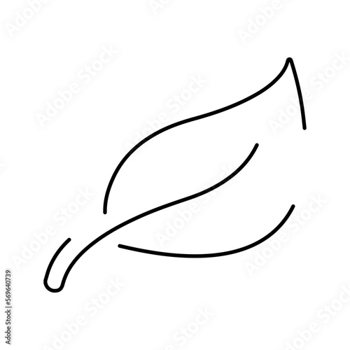 leaf icon on white background, vector illustration.