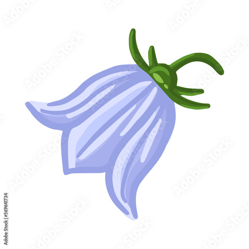 Bluebell flower. Floral design for postcard, poster, ad, decor, fabric and other uses. Vector isolated illustration of harebell flower.
