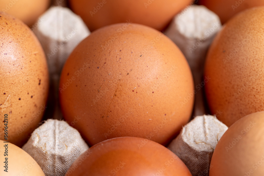 Fresh chicken eggs for cooking Fresh chicken eggs for cooking