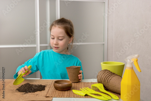 little girl at the table enthusiastically prepares the ground in peat pots for planting seedlings