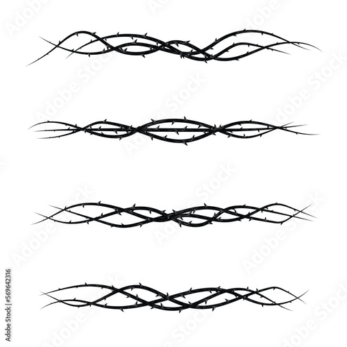 Blackthorn branches with thorns swirl