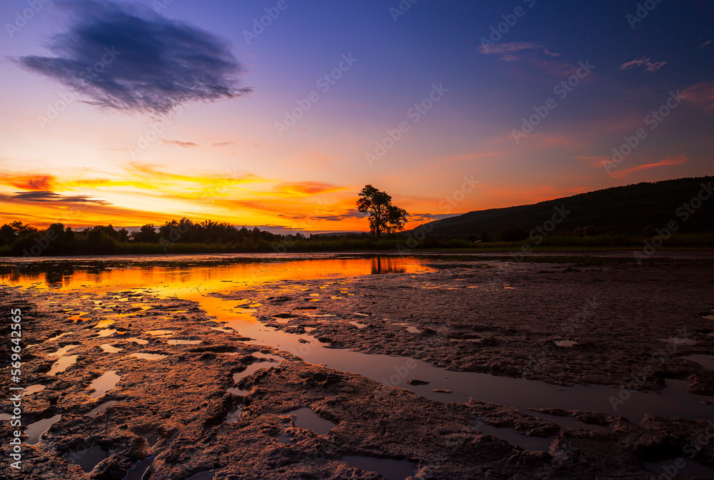 View of rice fields and mountains in the evening in Asia,Picturesque rice field at dusk, dramatic sunset sky over green rice seedlings in the rice field, tropical forest and mountains in the backgroun