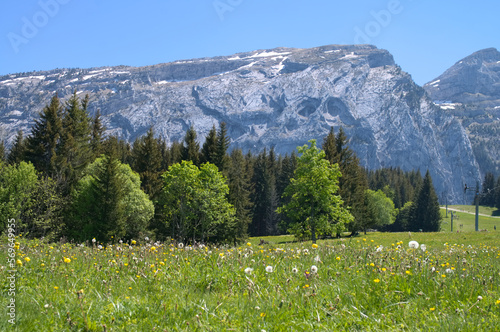 summer mountain landscape, French Alps