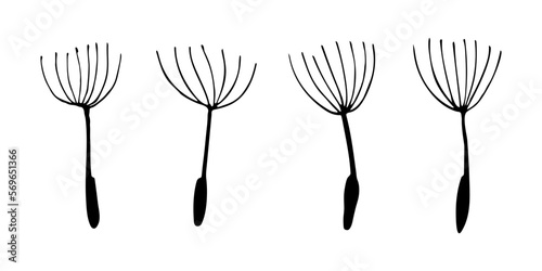 Set of dandelion blow ball seeds. Floral elements. Outline ink drawing. Can be used for textile, wallpaper, pattern. Isolated vector and PNG illustration on transparent background.