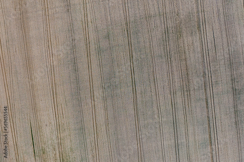drone photo of a mowed field in yellow. Texture. Patterns. Harvester tracks