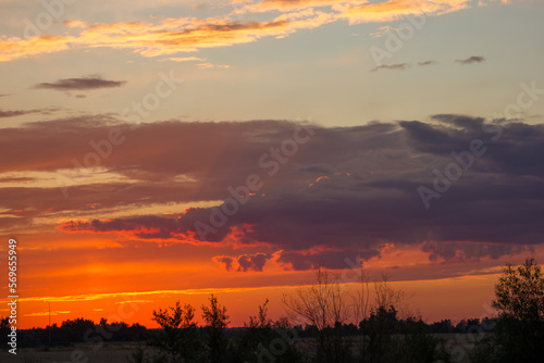 rain clouds against the background of the sunset sky over the bush. The sky on the horizon is bright orange.