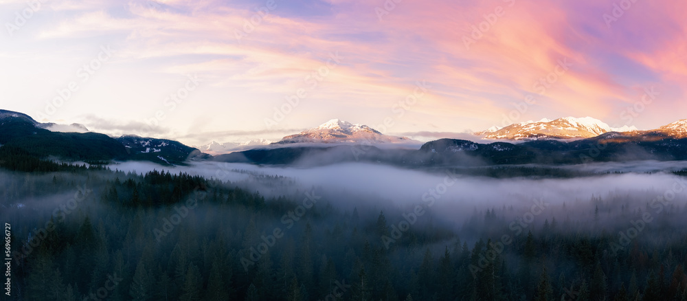Green Trees in Forest with Fog and Mountains. Sunrise Sky Art Render. Canadian Nature Landscape Background. Near Squamish, British Columbia, Canada. Panorama