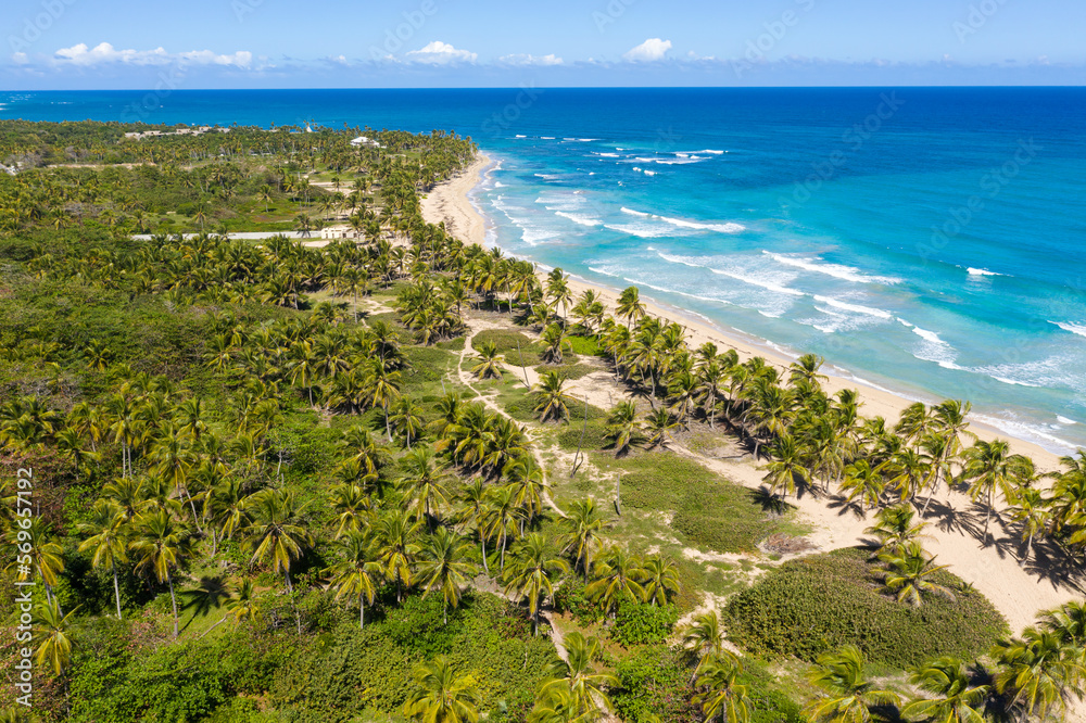 Caribbean beach scene with coconut palms, sand, ocean and blue sky. Tropical nature. Dominican Republic. Aerial view