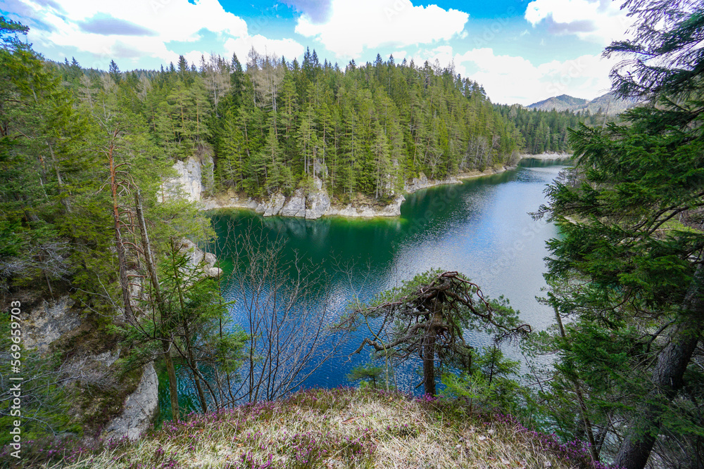lake in a mountain and forest scenery. beautiful lake Erlaufstausee in Austria in famous hiking area Oetscherland