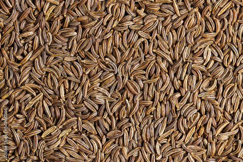 a large number of cumin seeds that are used as spices in cooking