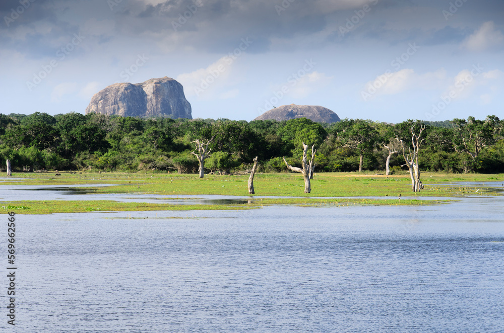 Pure nature in Yala National Park, Sri Lanka
