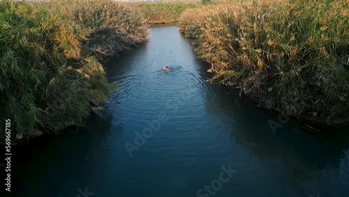 Aerial video of  a man swims in a small stream near kibbutz sde eliyahu in Israel