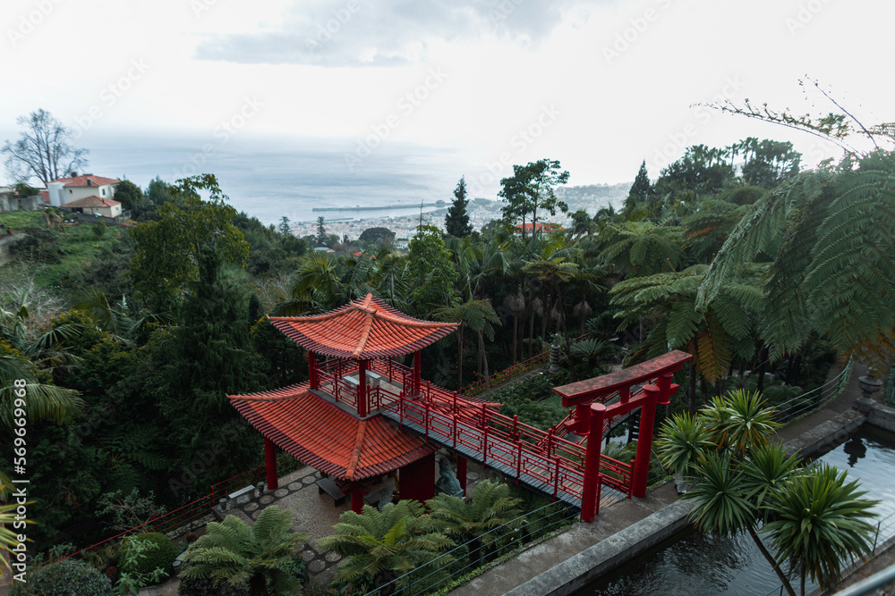 Amazing tropical green garden Monte with palm trees and red Japanese gazebo in Madeira island. Beautiful nature view near ocean Amazing tropical green garden Monte with palm trees and red Japanese gazebo in Madeira island. Beautiful nature view near ocean